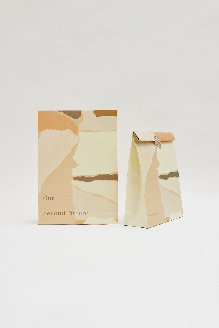 Large Holiday Gift Bag