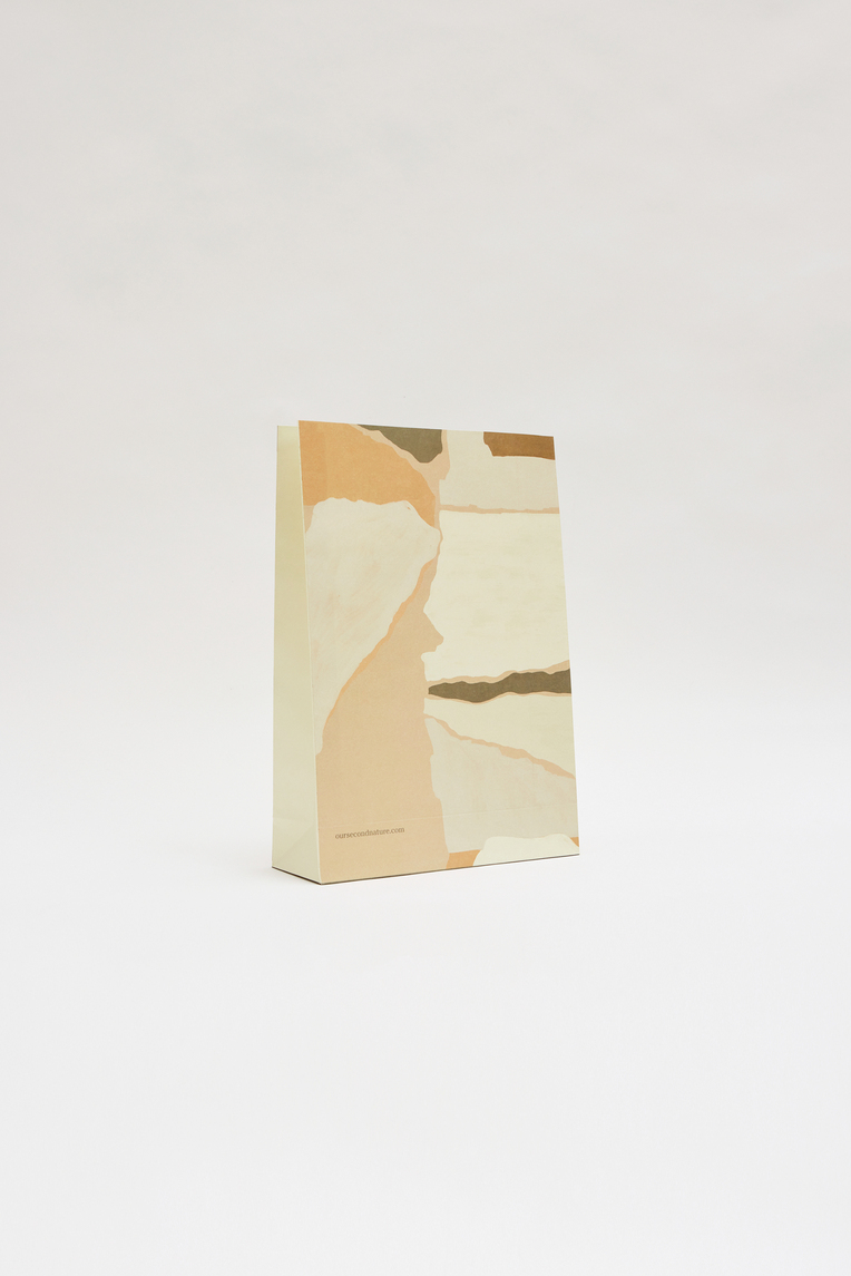 Large Holiday Gift Bag
