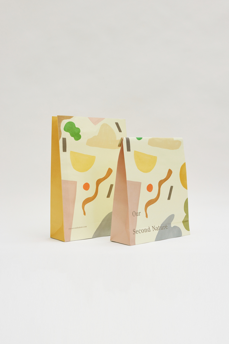 Large Holiday Gift Bag