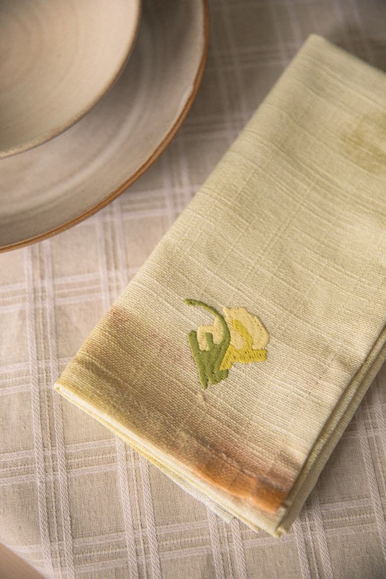Soleil Embroidered Table Napkin Set