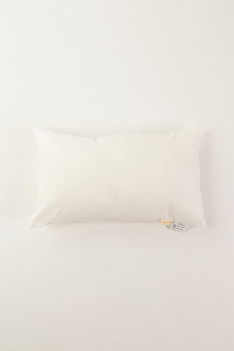 Lumbar Cushion Insert