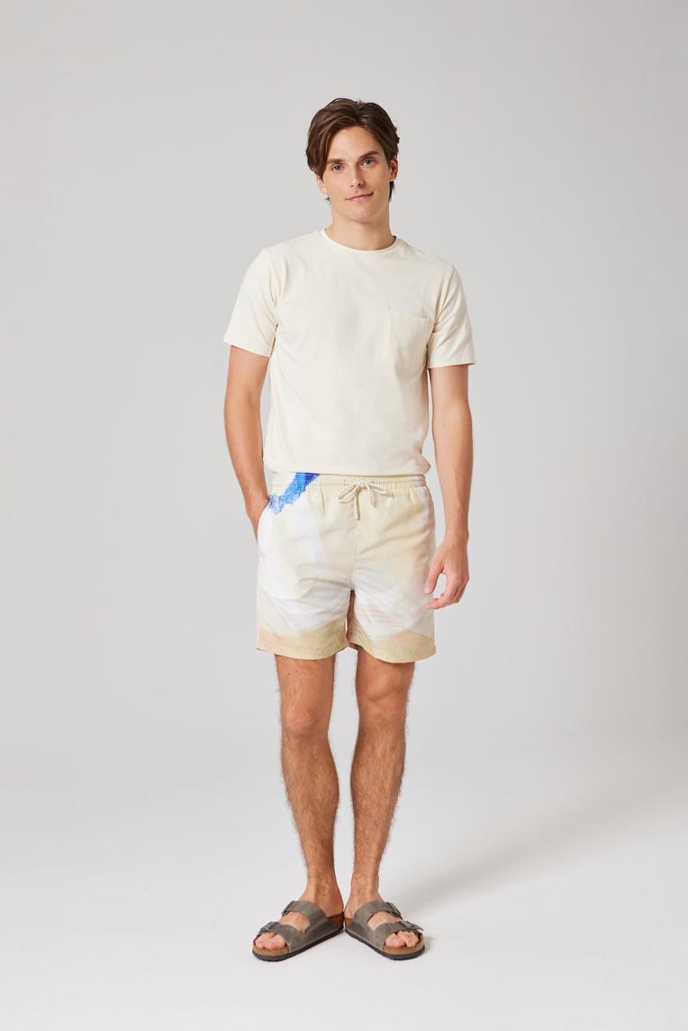 Savour Mens Swim Shorts