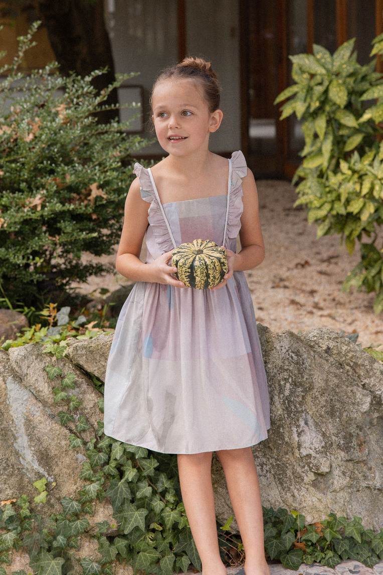 Frame Ruffle Sleeve Dress