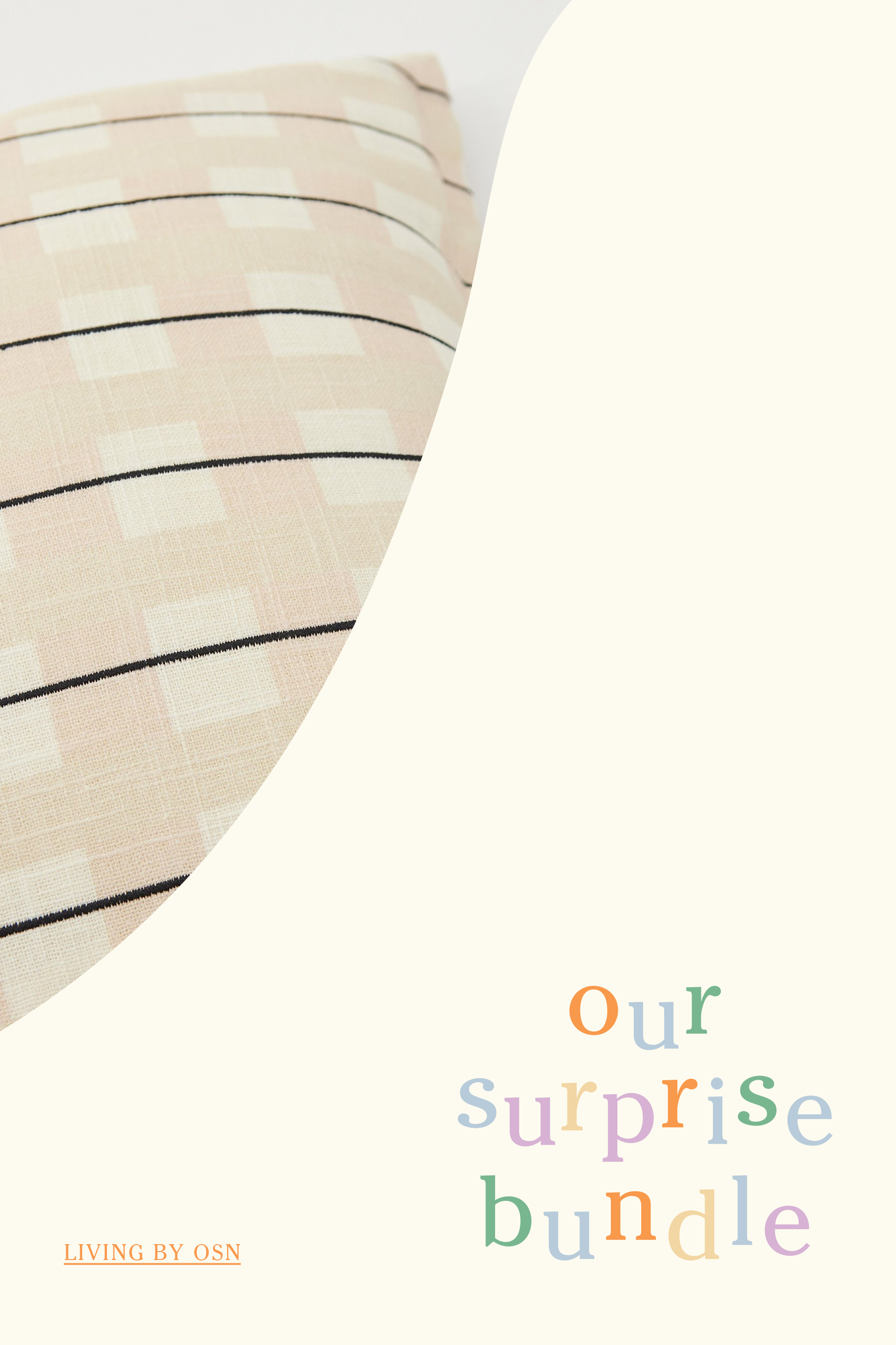 Our Surprise Bundle - Living