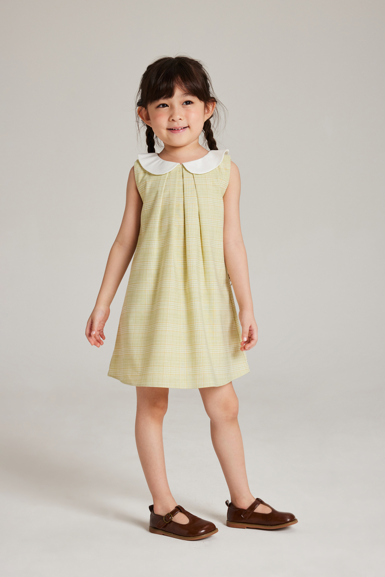 Plaid Collared Pleated Dress