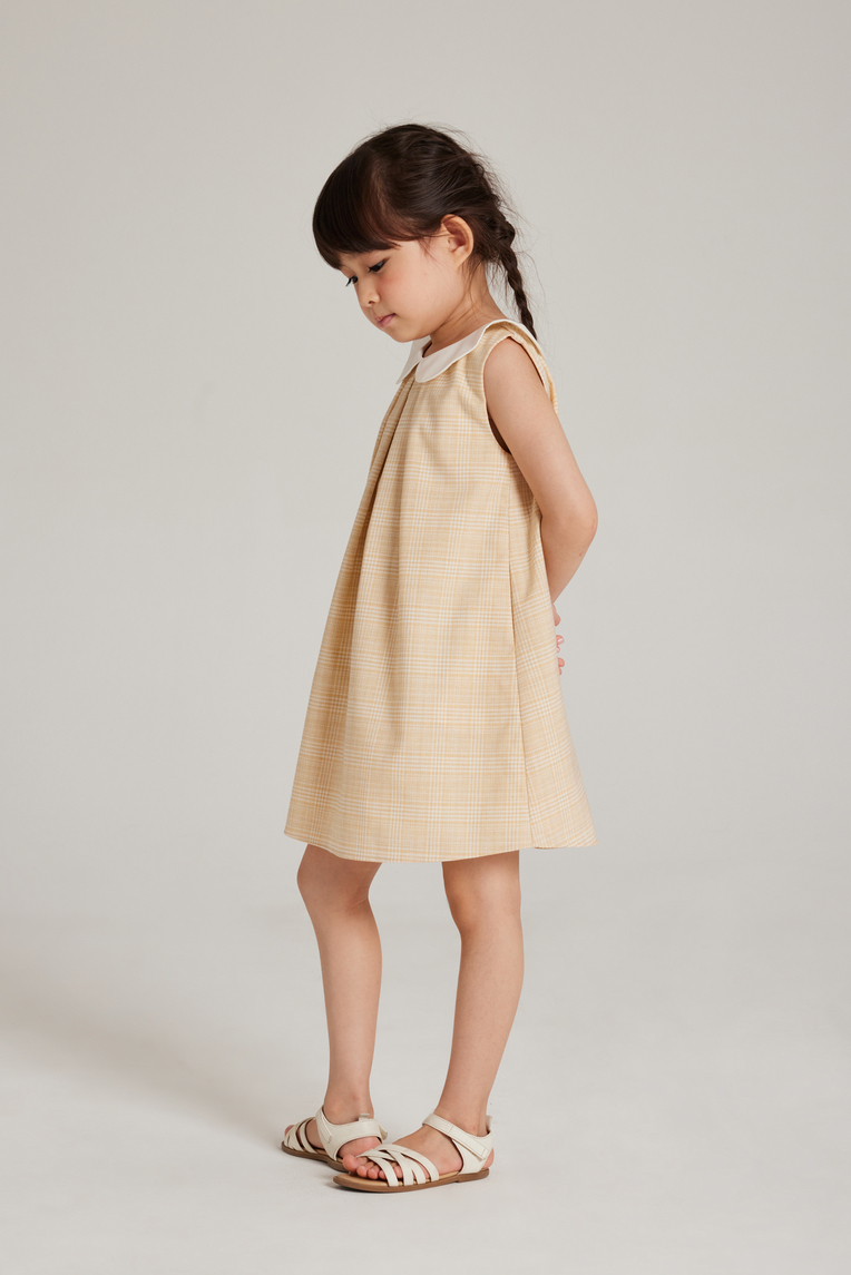 Plaid Collared Pleated Dress