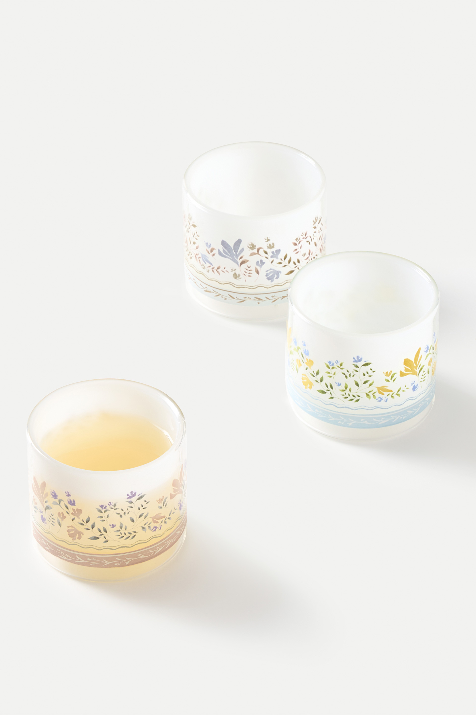 Garden Double-Walled Glass Mug