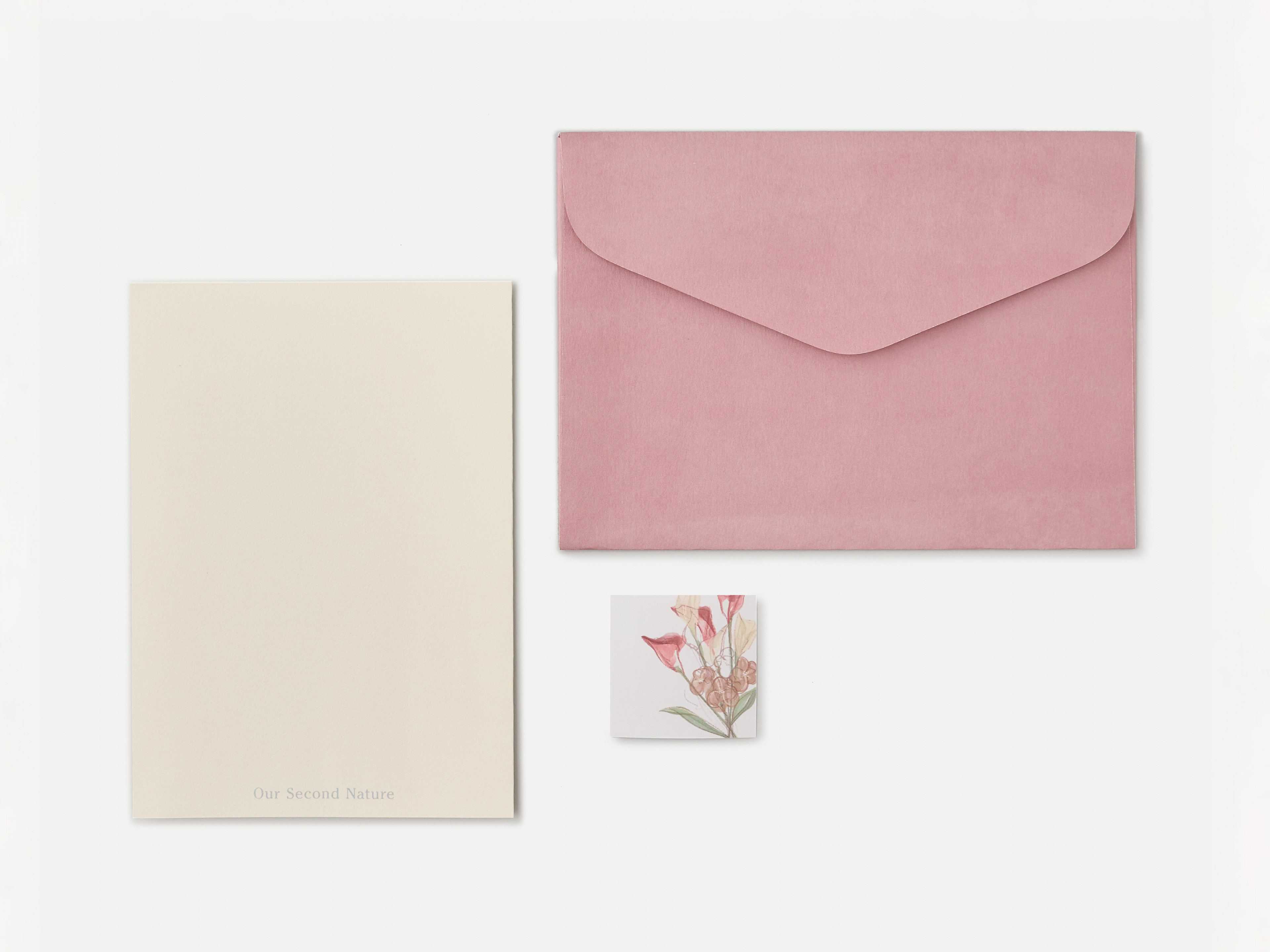 Portraits from the Garden Greeting Card Set