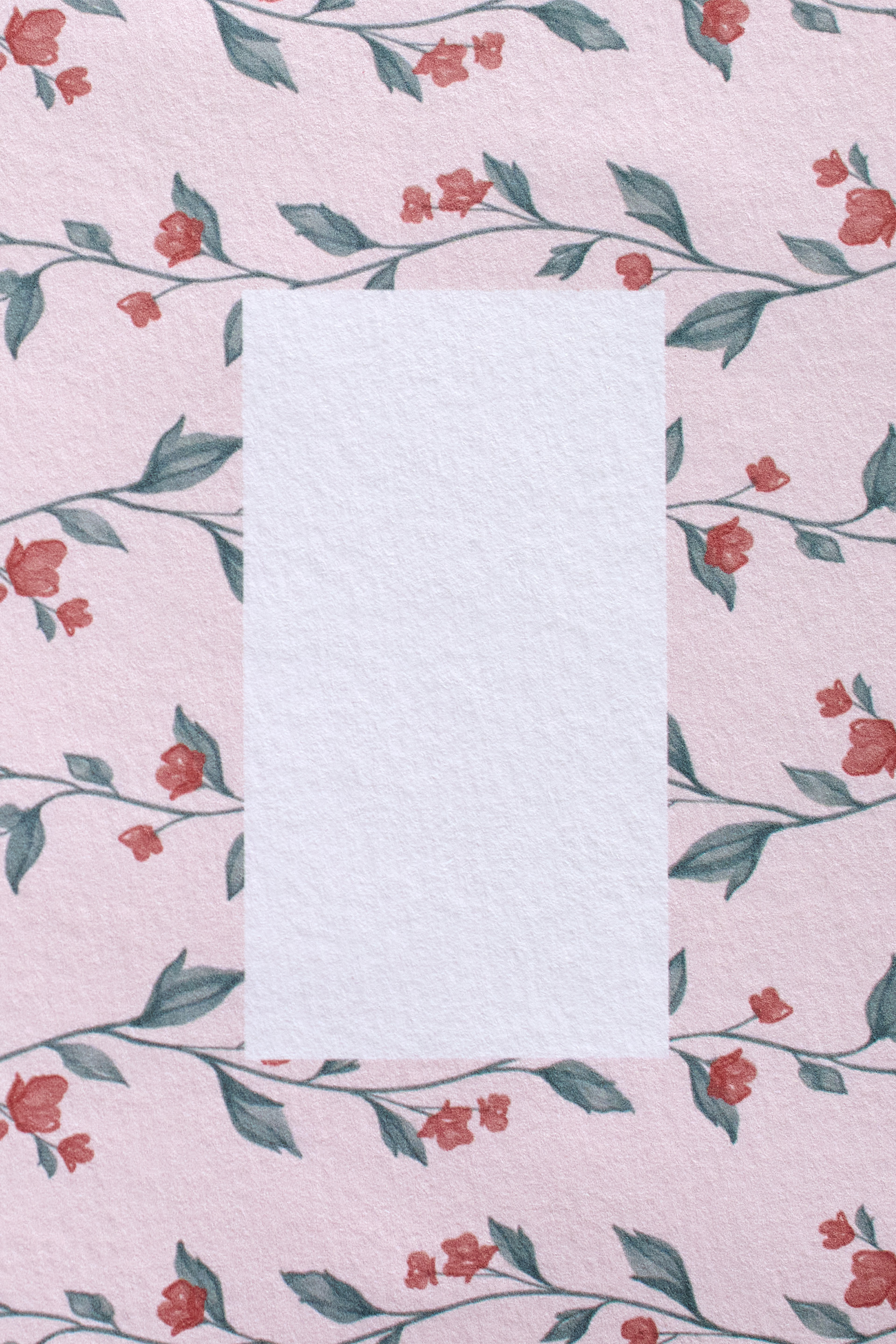 Garden Trail Greeting Card Set