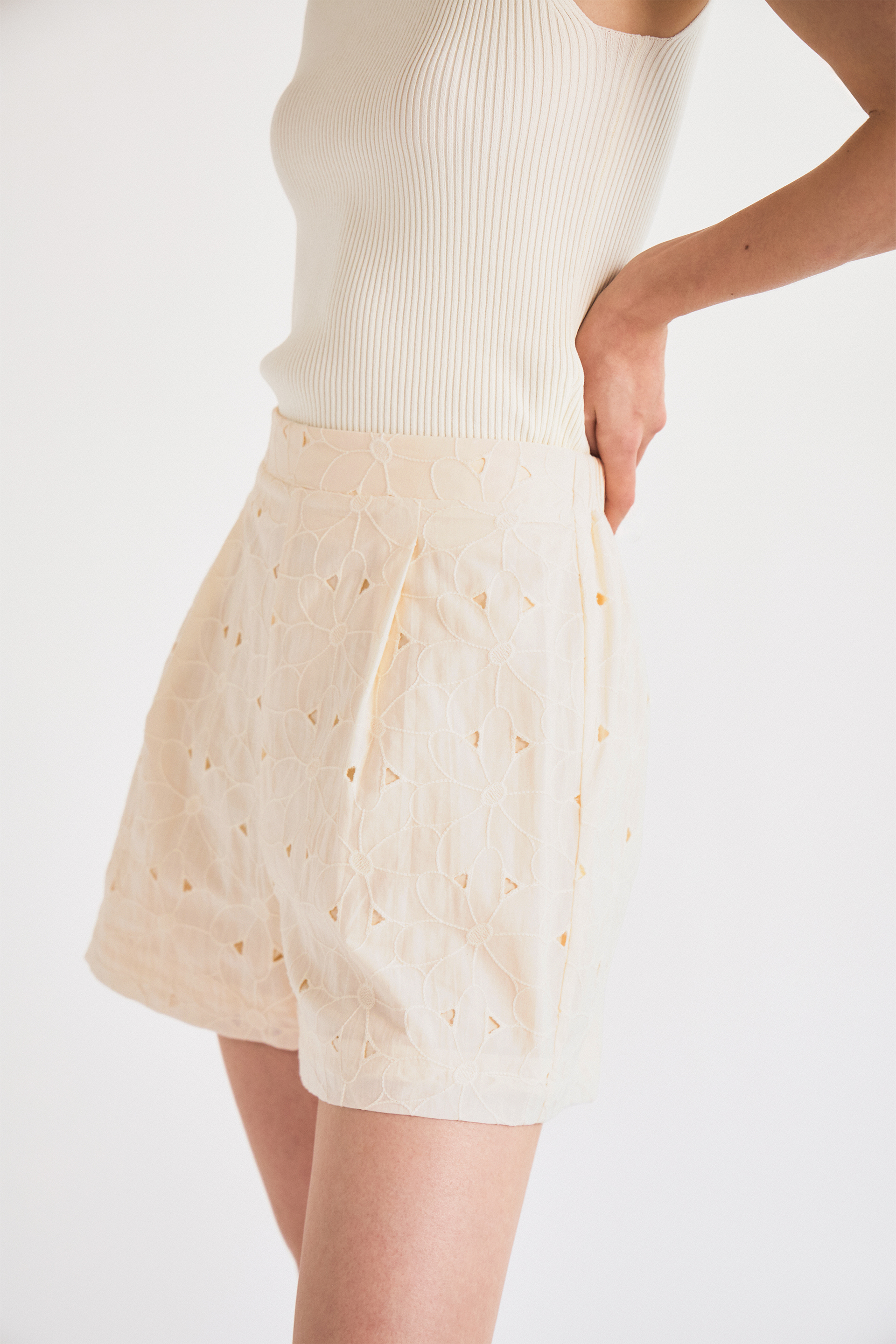 Embroidered Pleat-Front Shorts