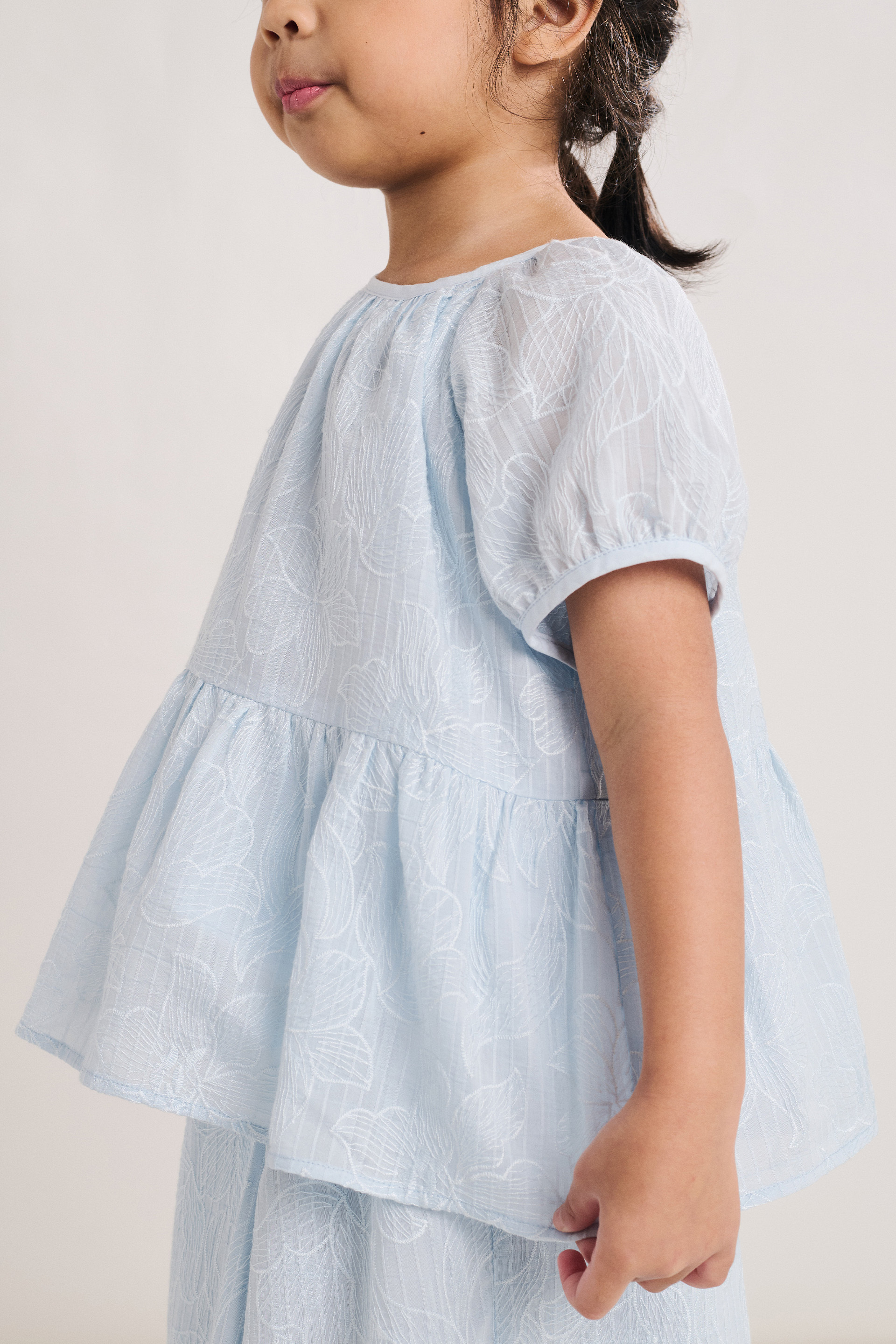 Embroidered Texture Bubble-Sleeve Top