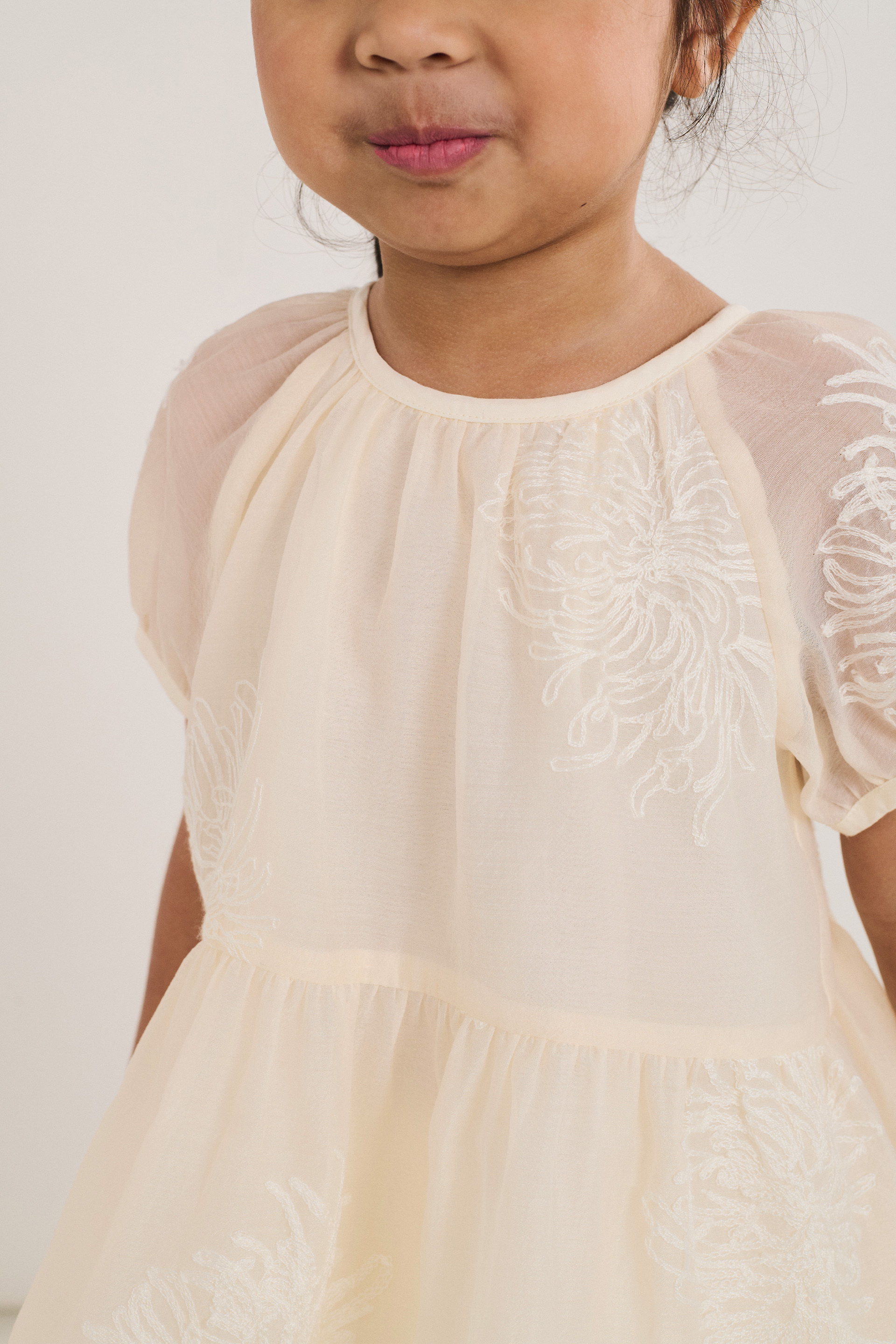 Embroidered Texture Bubble-Sleeve Top