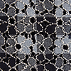 Navy Lace